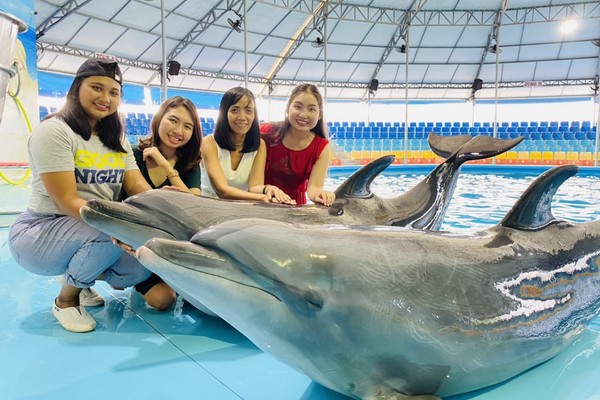 Phuket Dolphin Show